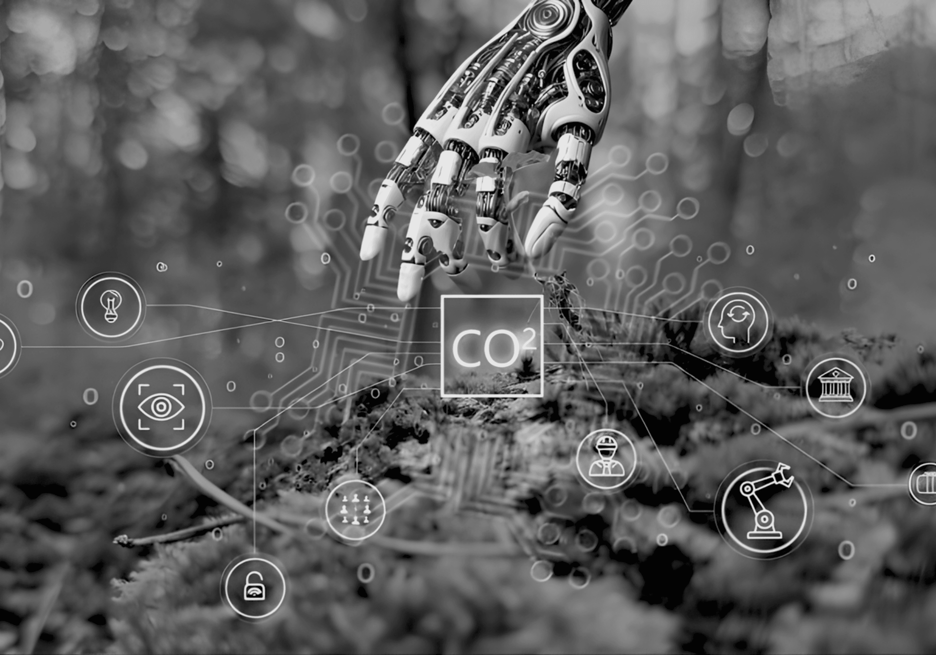 Sustainable AI for Environmental Intelligence